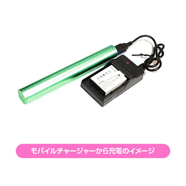 Batterie Fuji NP-45 D'origine Pour Appareils FinePix (Z90, Z91, XP10, Etc.)