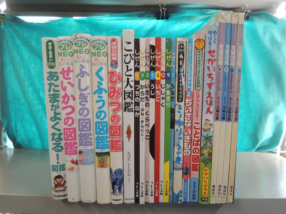 図鑑《まとめて12点セット》はっけんずかん⁄くらべる図鑑⁄ふしぎの