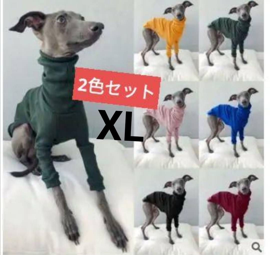新品】・Caron・羊毛フェルト イタリアングレーハウンド イタグレ 犬