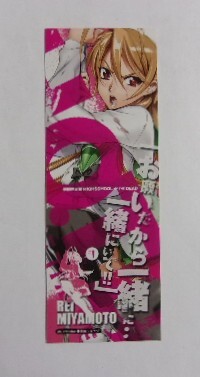 ◇学園黙示録 HIGH SCHOOL OF THE DEAD ハイスクールオブザデッド