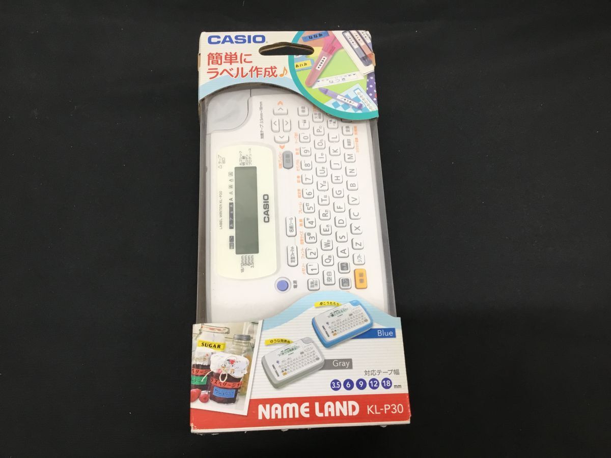 CASIO ハンディタイプ領収書発行機 RY-100 【公式通販】