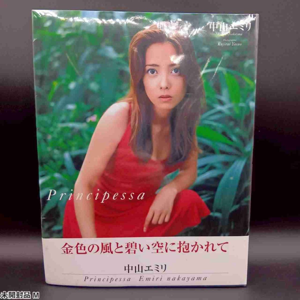 中古】中山エミリ写真集『Principessa』 直筆サイン入の