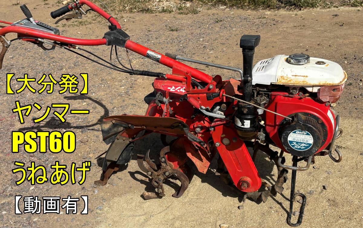 中古】ヤンマー 1輪管理機 PSC-60 フラミンゴ の爪 2 バリ山 の落札