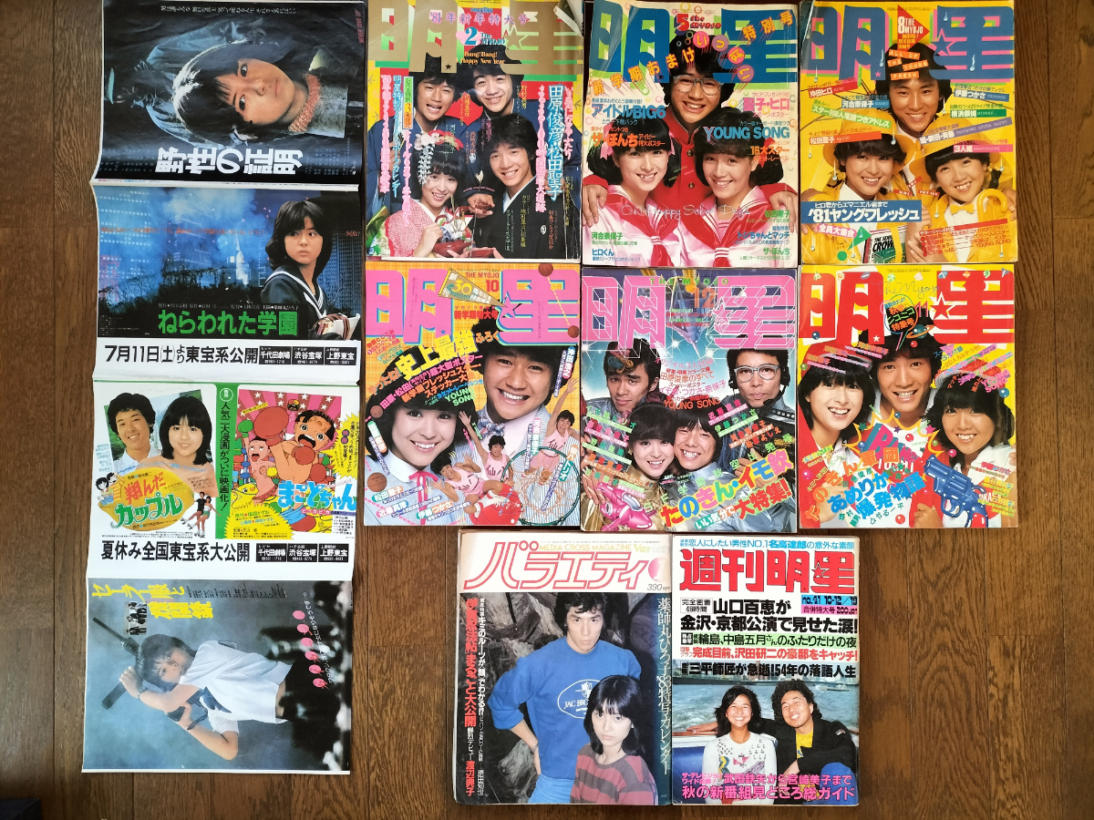 近代映画 榊原郁恵グラフ集 1980年 水着 ビキニ アイドル 昭和 写真集