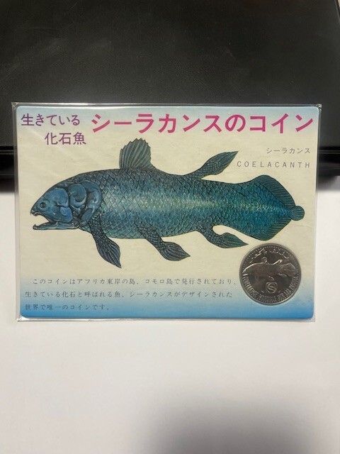 新品】○ハンドメイド 自作 手作り 61cmシーラカンス 魚模型