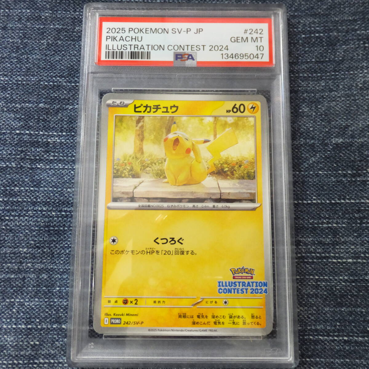 57788/毛利彰 イラストレーション 徳間書店 1991年 孤高の絵師 毛利彰