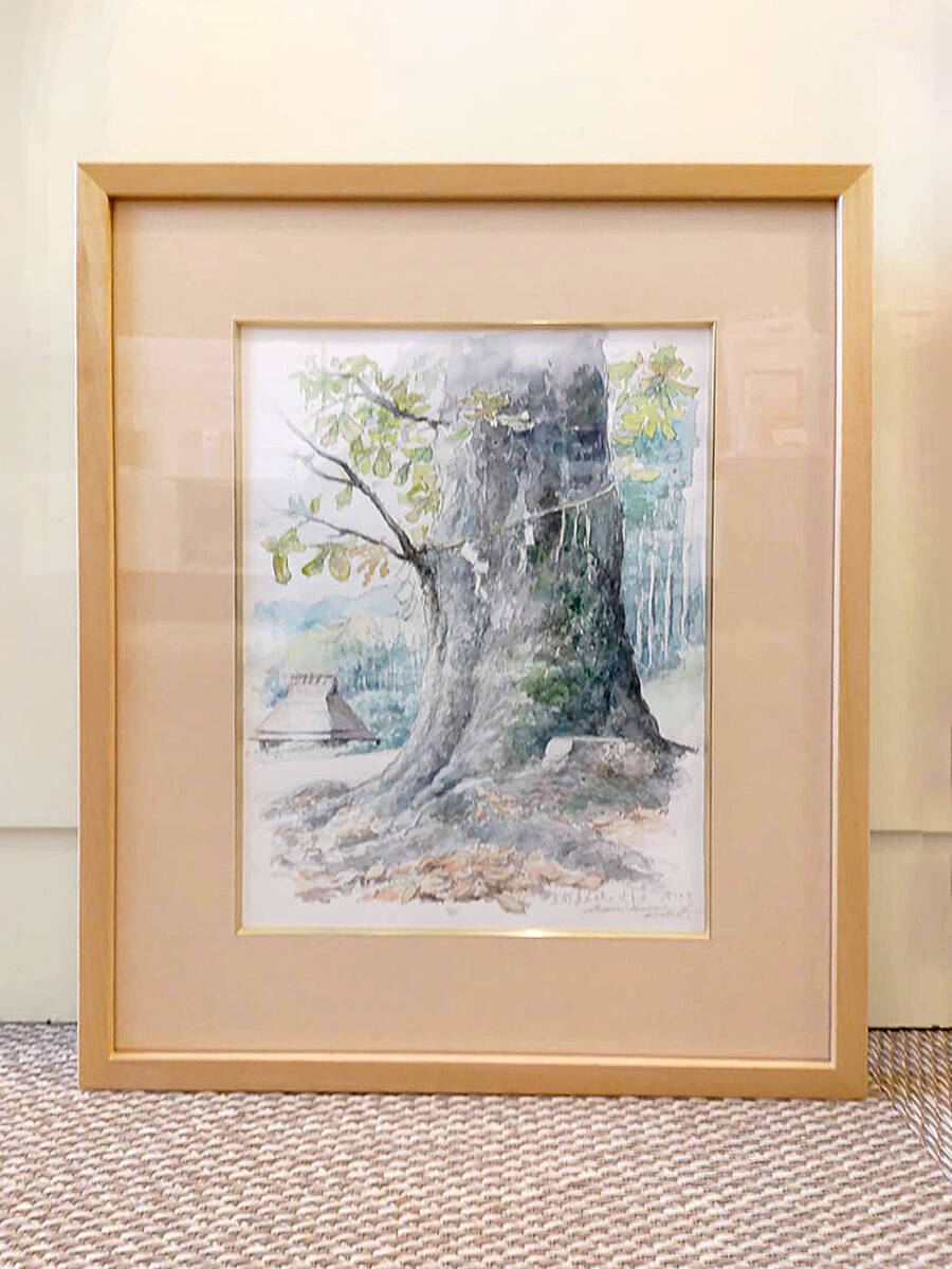 未使用】野村重存 水彩画 「山と桜」 プレバト 風景画 の落札情報詳細
