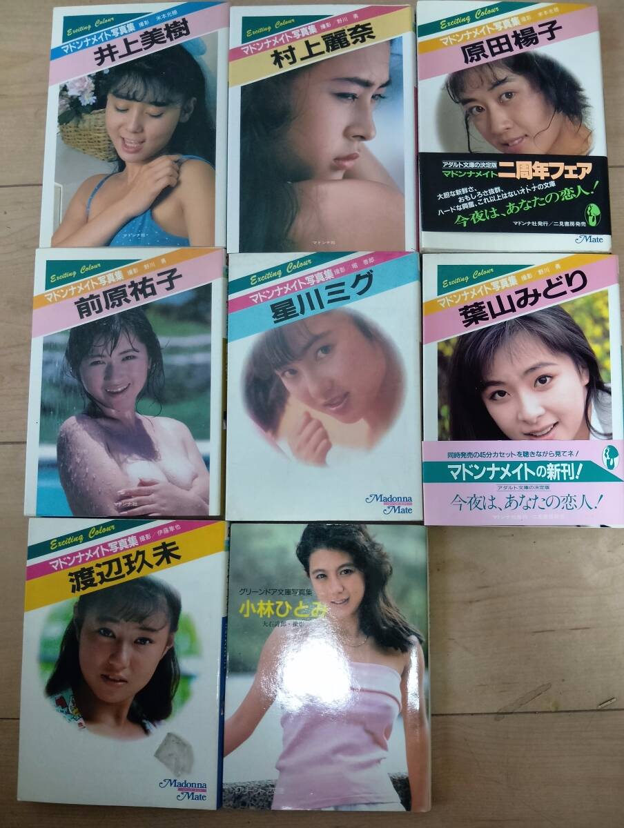 本 マドンナメイト文庫美 風間九郎