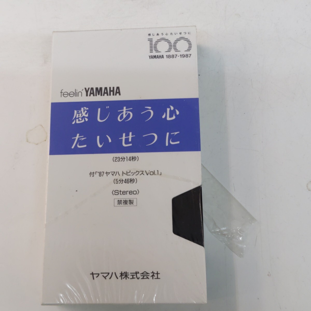 南野陽子 NANNO CLUB ◇幼児期から高校時代スチール写真が見れます