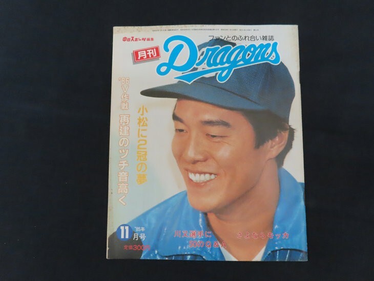 新品】プロ野球選手ガイドブック☆選手名鑑☆2013年～2020年8冊☆中日