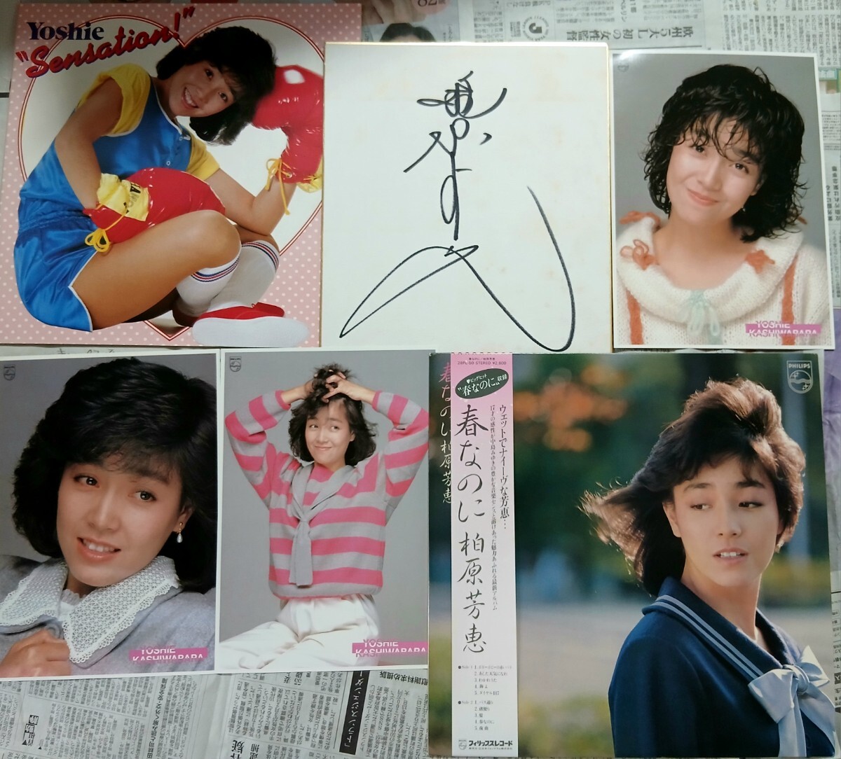 岡田有希子 ユッコ 直筆サイン色紙 巨大イラスト入り 超貴重 希少