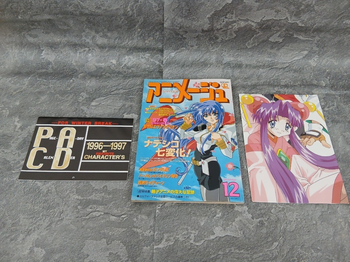アニメージュ 1996年 1-12月 9冊セット 211 212 214 216 217 218 219