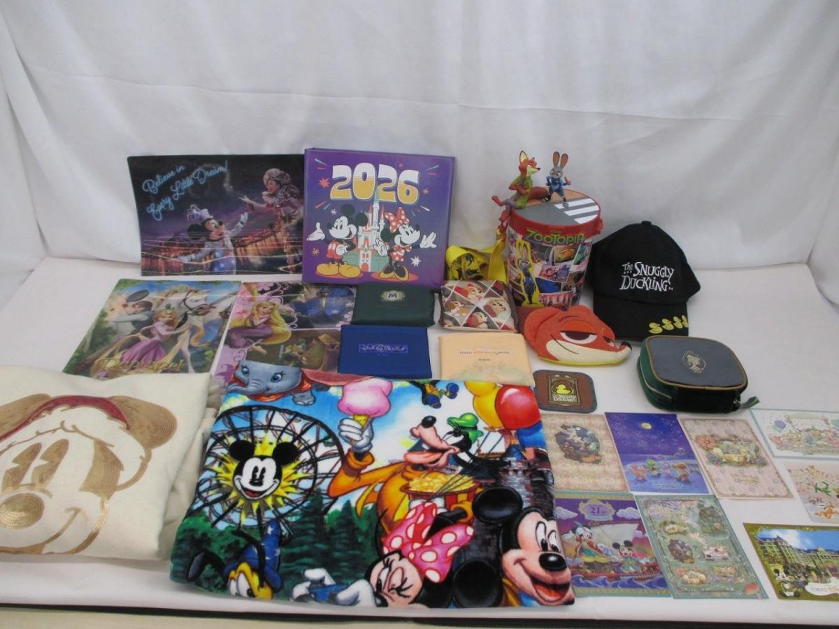 M168】【激レア】Walt Disney World ウォルトディズニーワールド
