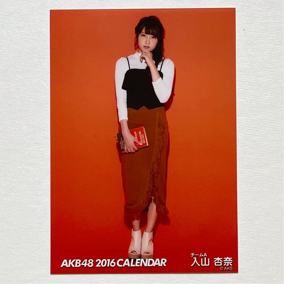 新品】AKB48 グループ カレンダー 2016 封入特典 生写真 渡辺麻友 水着