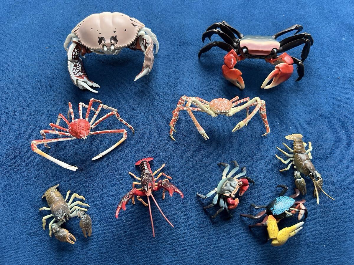 1円スタート!! ネイチャーテクニカラー 海遊館ミュージアム