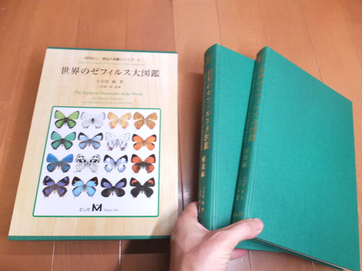 中古】未使用品 川上恭一郎作 瑠璃金縁半月皿の落札情報詳細 - Yahoo