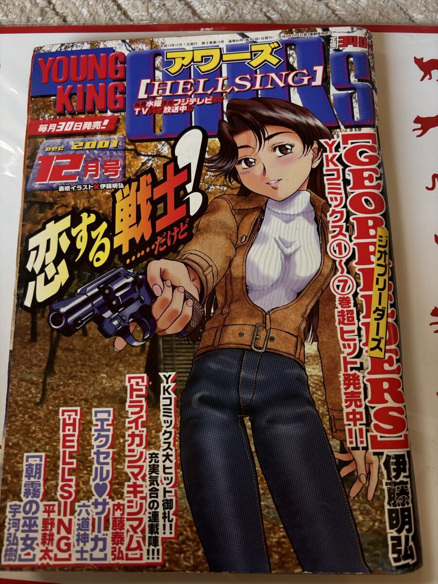 HELLSING ヘルシング 外伝 平野耕太 ヤングキングアワーズ 2012年2月号