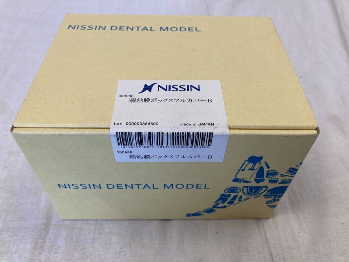 中古】NISSIN ニッシン デンタルモデル 歯牙模型 永久歯 形態異常 歯科