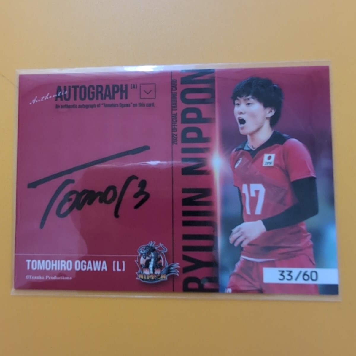 未使用に近い】【お得セット】龍神NIPPON2022/山本智大、仲本賢優