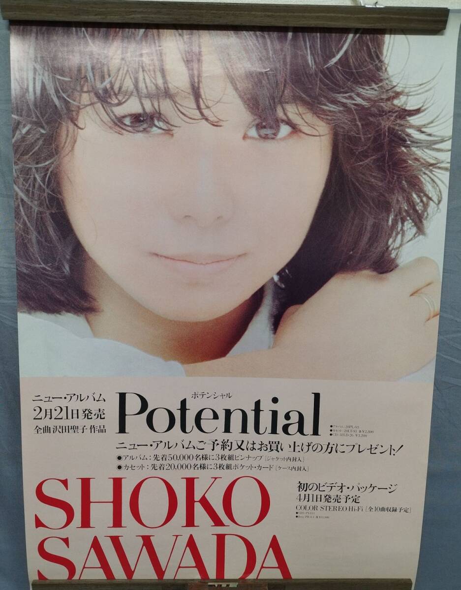 お宝 サイン入り 沢田聖子写真集 potential 水着 ビキニの落札情報詳細