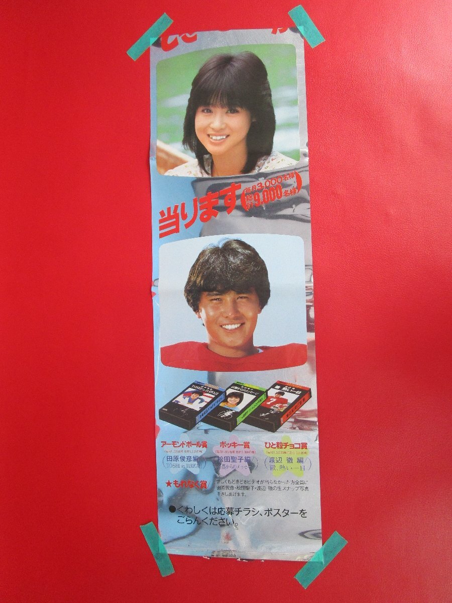 ポッキーのCMをしていた時代の松田聖子さん生写真です。（茶屋）の