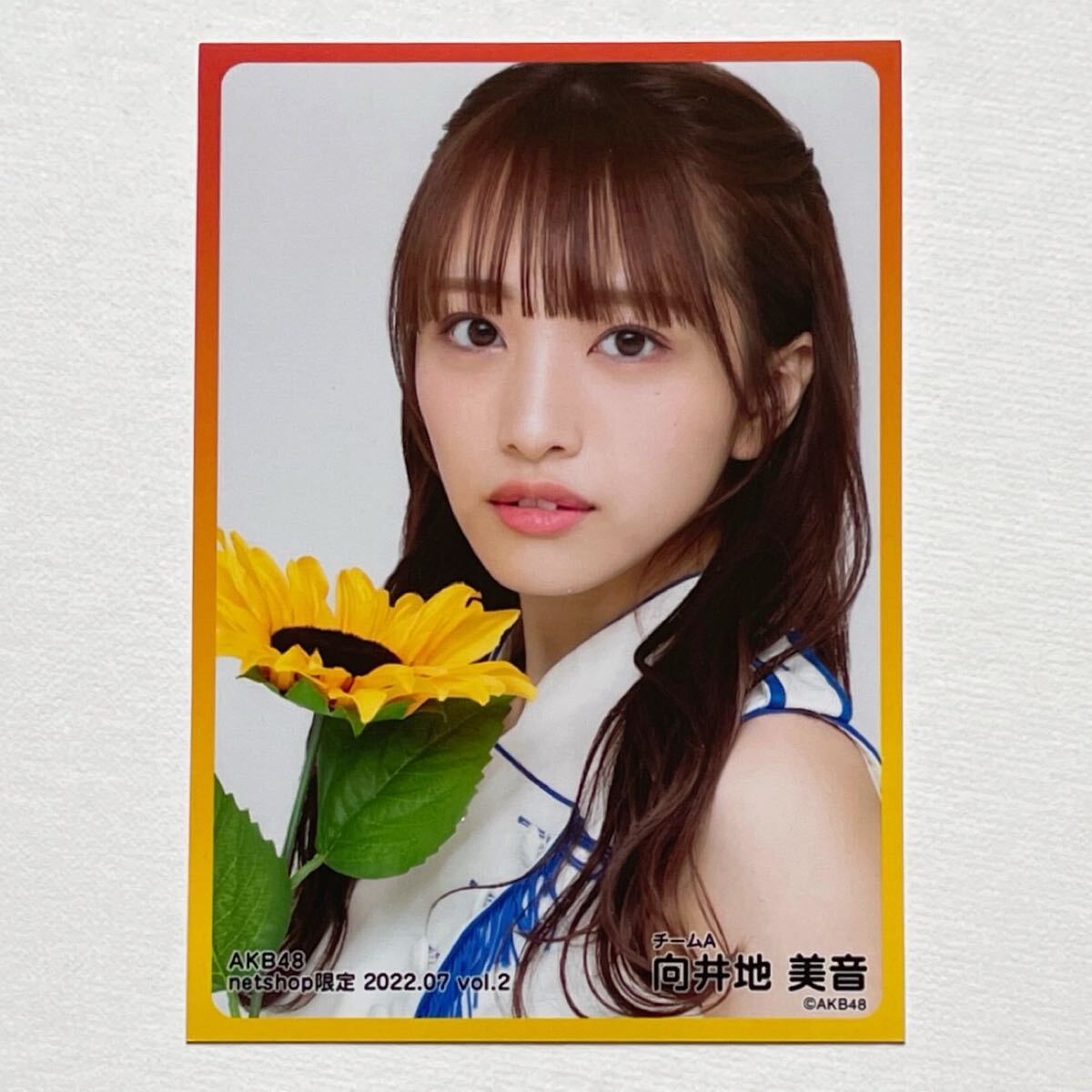 美品 AKB48 向井地美音 L判写真30枚セットまとめ売り マル秘お楽しみ