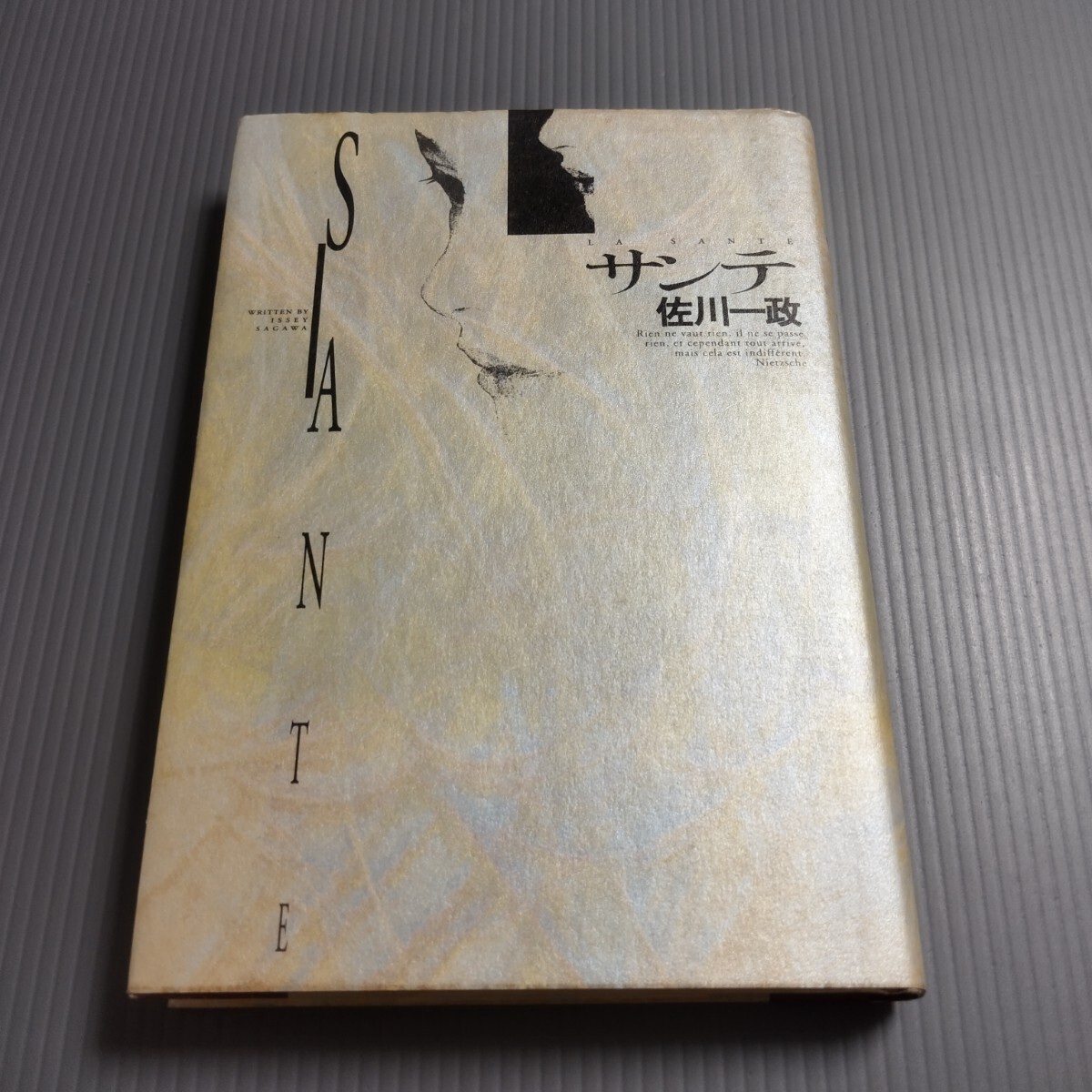 E5□2冊セット 佐川一政書籍/霧の中、狂気にあらず!? パリ人肉事件◇可