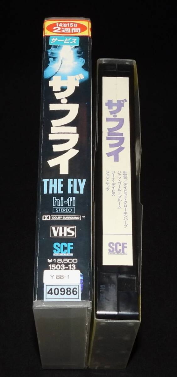 落葉樹』1986年作品 中古DVD 監督：新藤兼人（105分）レンタル落ち