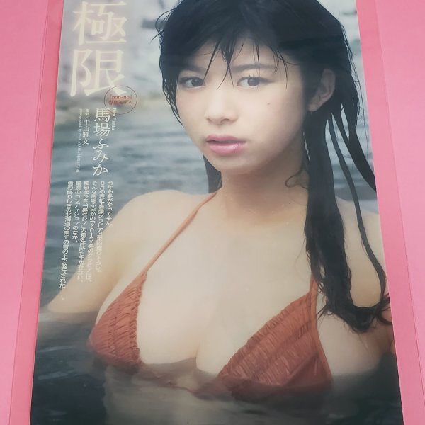 新品】☆超大判A1☆爆乳天使 馬場ふみか 花柄全身ビキニの落札情報詳細
