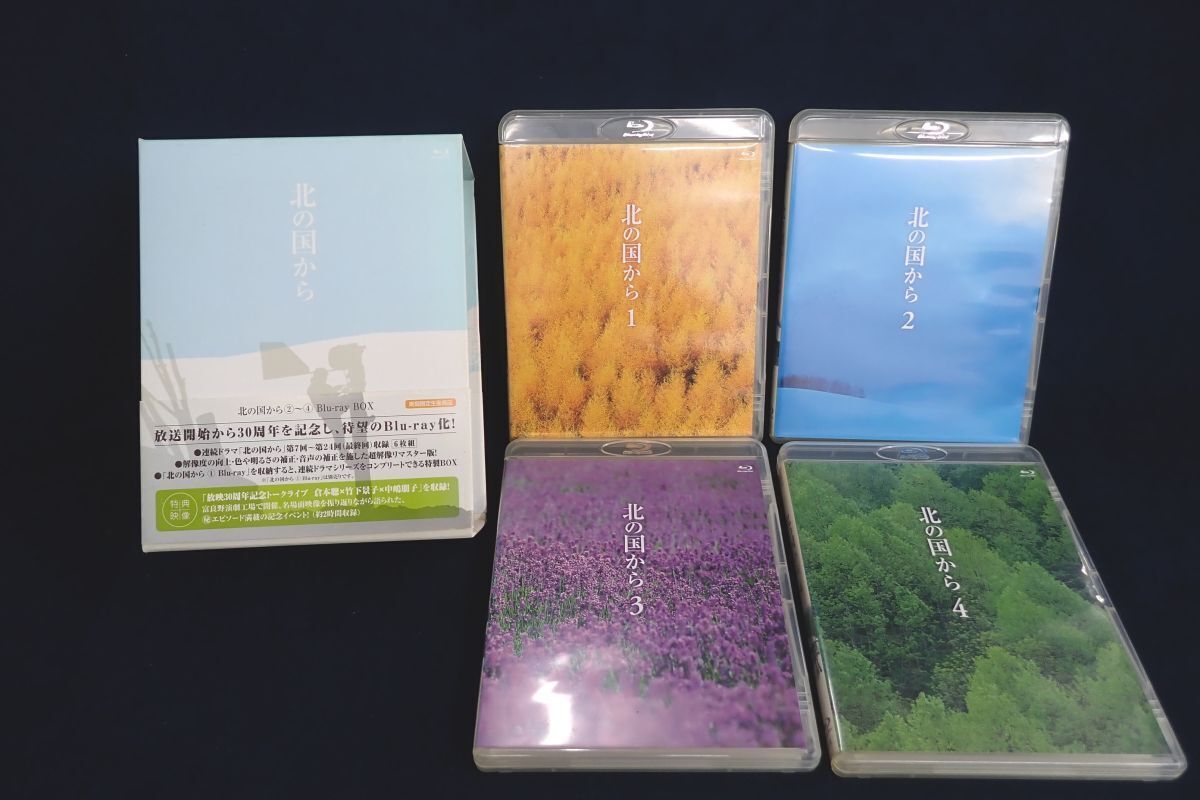 使用済JR北海道オレカ 多穴☆中嶋朋子の柄 7種類セット(北の国から