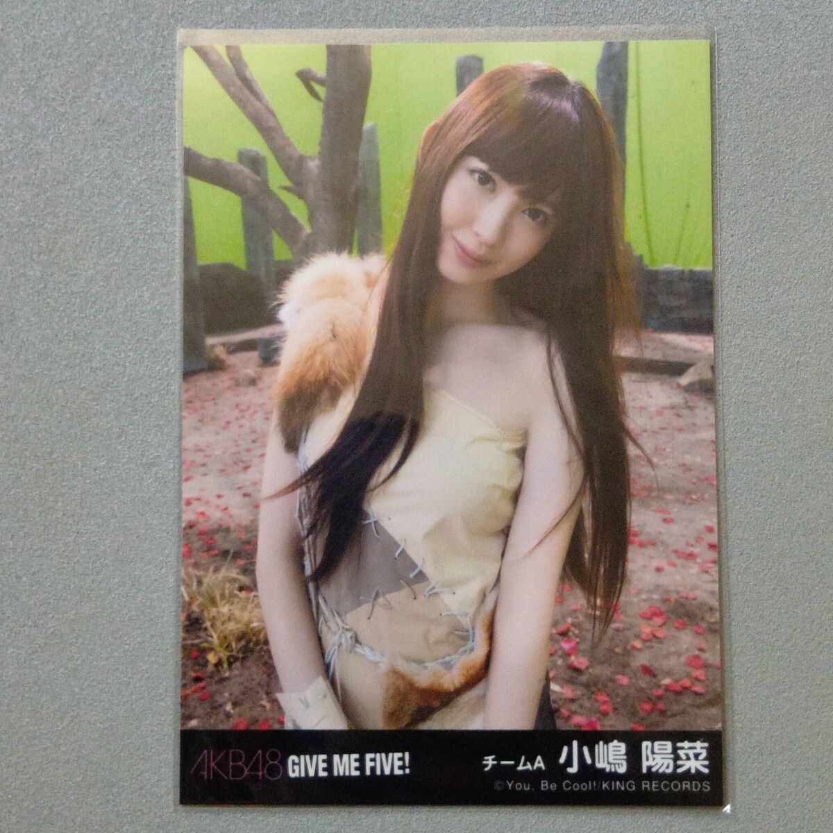 新品】AKB48 大島優子 公式 劇場盤 生写真 5枚 まとめ② ギンガム