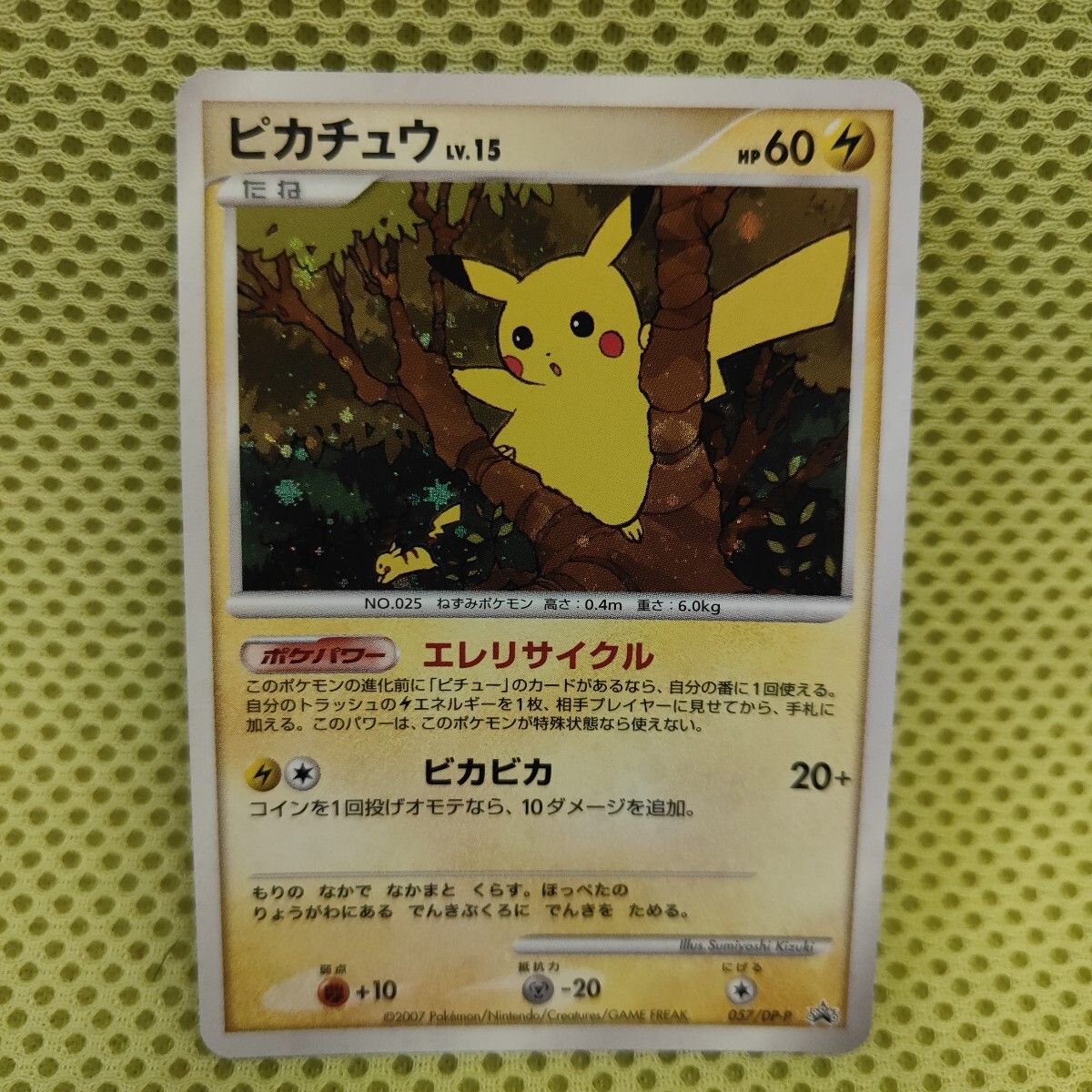 ポケモンカード 大会賞品 オーキドはかせの訪問 プロモ 美品 バトル