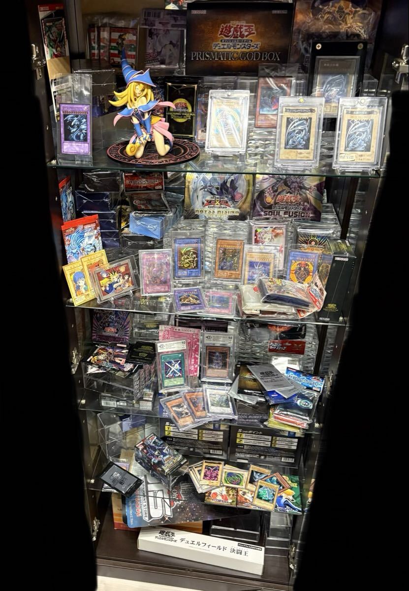 遊戯王 ブラックマジシャンガール ノーマルパラレル イトーヨーカドー