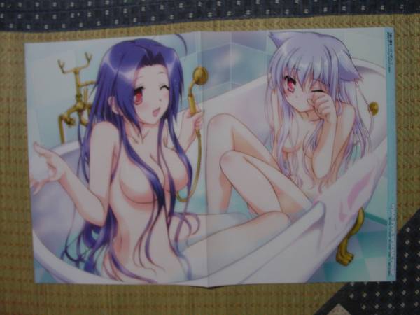 迷い猫オーバーラン 霧谷希 都築乙女 お風呂 ｂ型ｈ系 山田 下着 両面ピンナップポスター の落札情報詳細 ヤフオク落札価格情報 オークフリー スマートフォン版