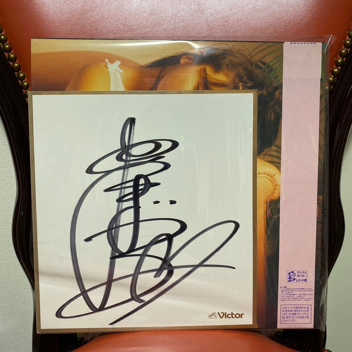 ファッションネイション 岡本舞子 SJX-30303 ファッション