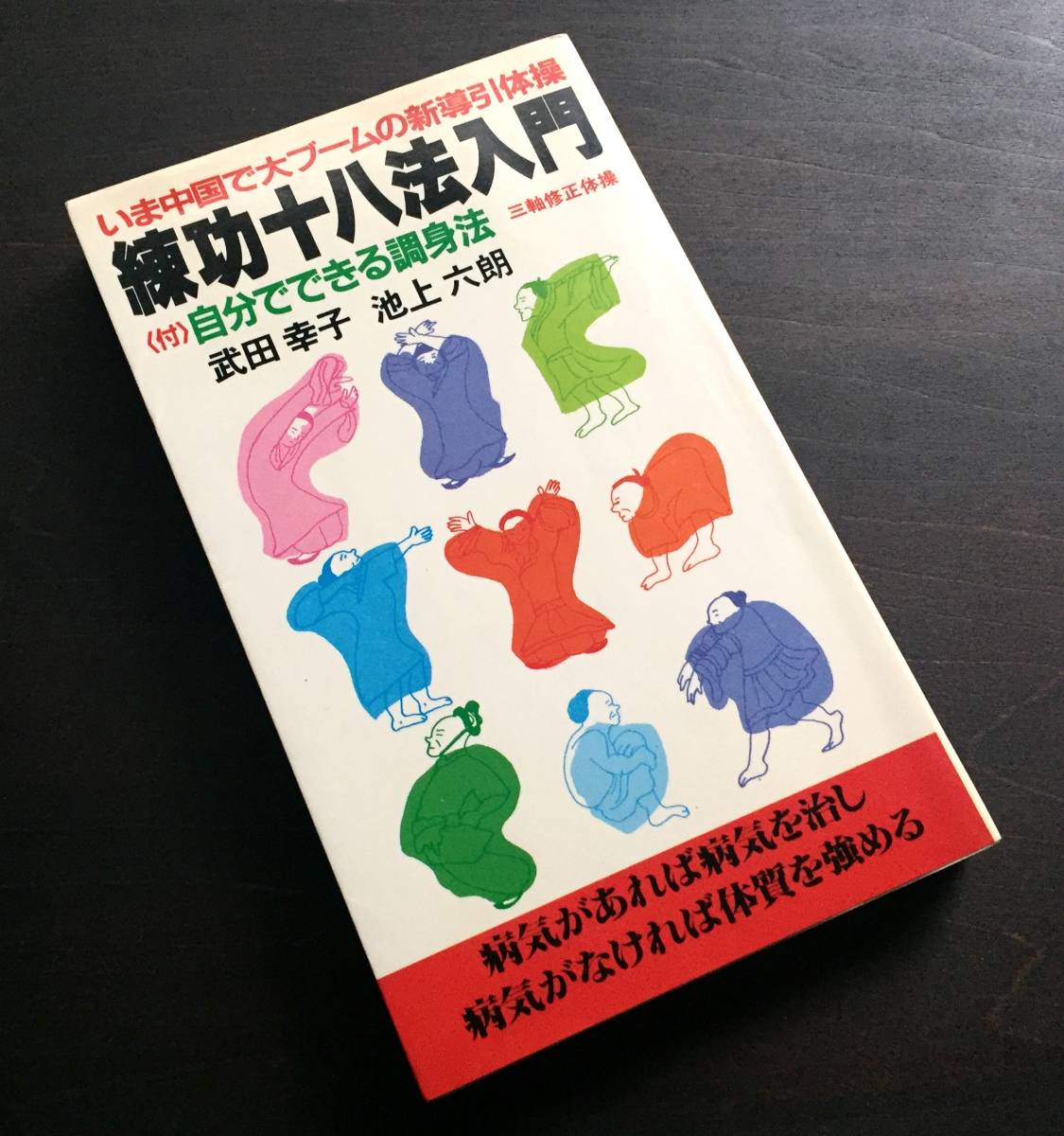 練功十八法入門 自分でできる調身法 練功十八法入門