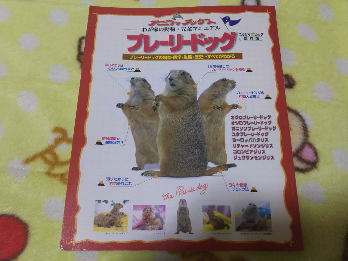 アニファ ブックス わが家の動物 完全マニュアル プレーリードッグ 飼育本 の落札情報詳細 ヤフオク落札価格情報 オークフリー スマートフォン版