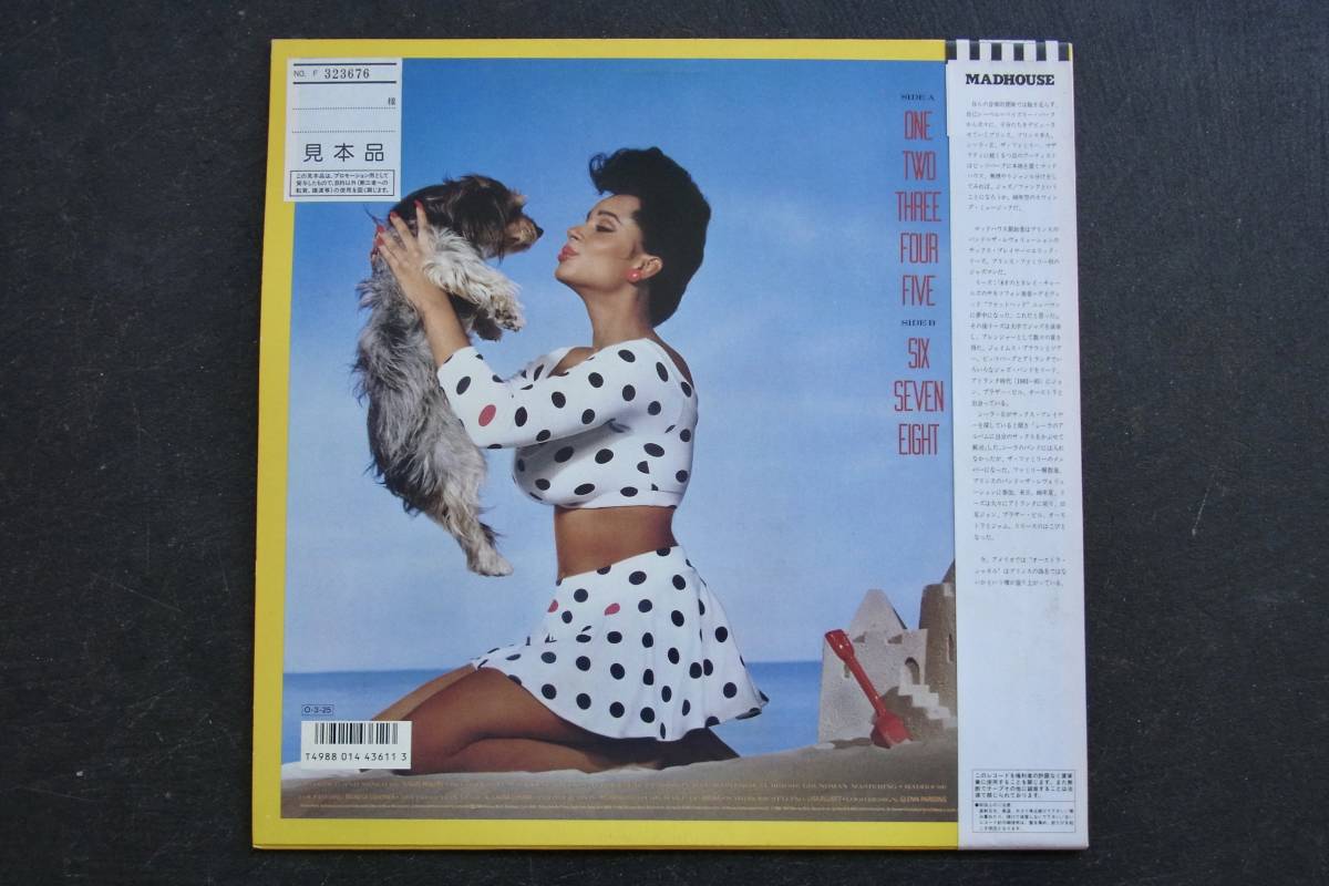 LP 帯 見本盤 非売品 ペイズリー パーク Madhouse / 8 マッドハウス P