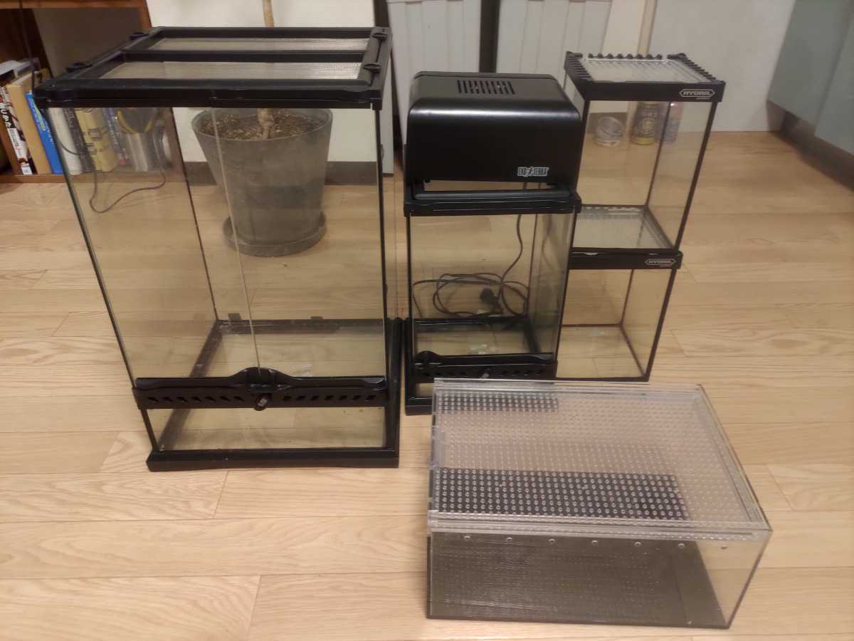 爬虫類 ケージ トップライト Gex グラステラリウム 壁チョロ クレス の落札情報詳細 ヤフオク落札価格情報 オークフリー スマートフォン版