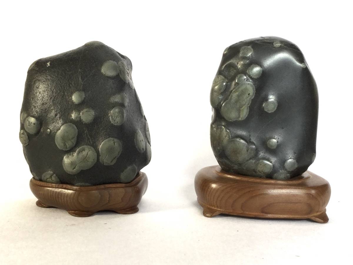 鑑賞石、梅花石、北海道空知川梅花石、鑑賞石、水石 鑑賞石、梅花石、北海道空知川梅花石、鑑賞石、水石 梅花石 二点