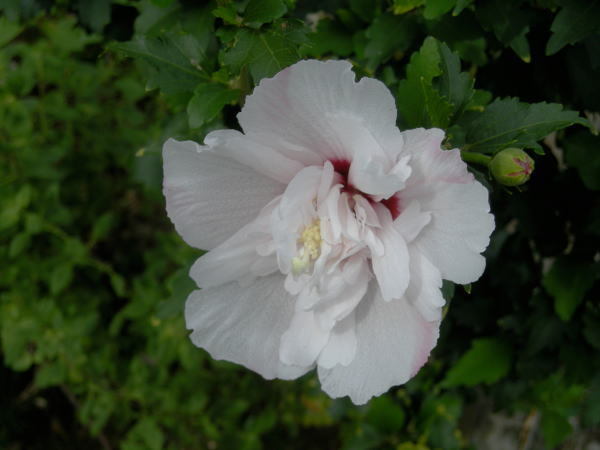 Img Aucfree Com U 2 Jpg