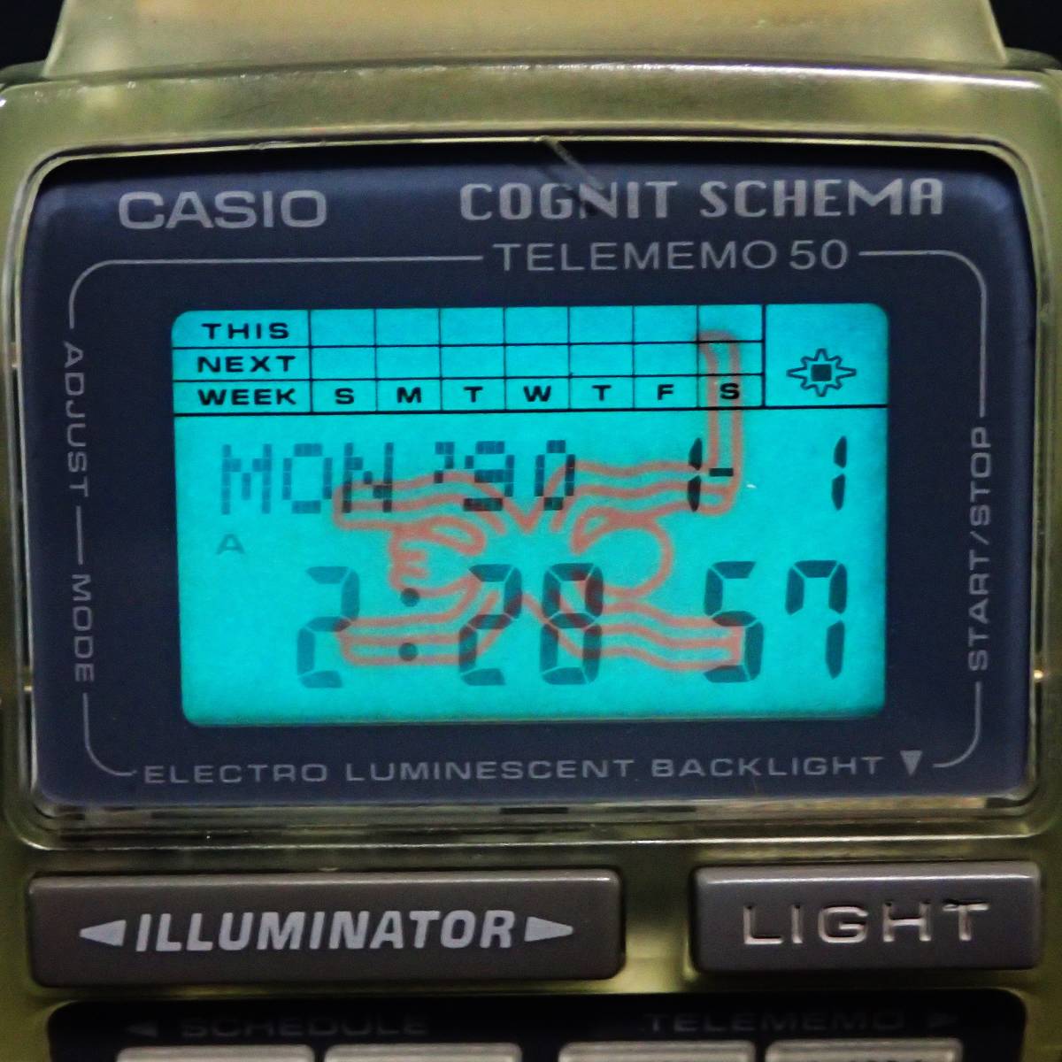 CASIO Cognit Schema TELEMEMO 50 7】 カシオ データバンク コグニット