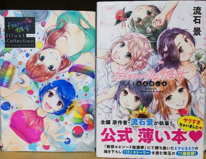 全巻セット+1】ドメスティックな彼女 特装版特典付き 22〜28巻未開封