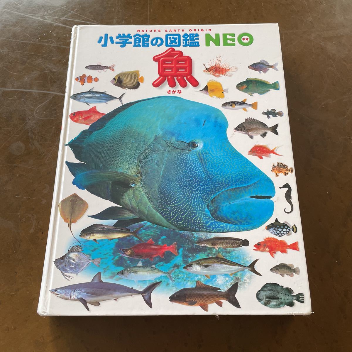 子供キッズ児童書小学館の図鑑neo 魚 の落札情報詳細 ヤフオク落札価格情報 オークフリー スマートフォン版