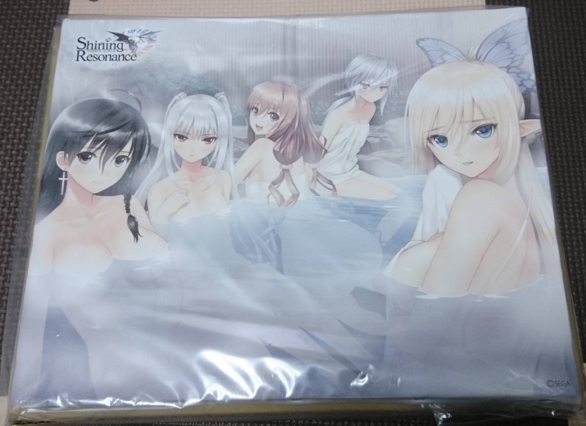 T ポイント5倍 レゾナンス キャンパスボード シャイニング レア キャラクターグッズ Luhacovice Cz