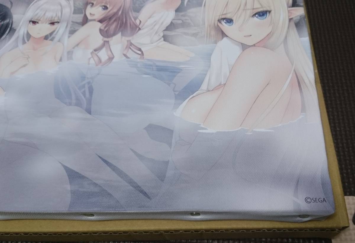 T ポイント5倍 レゾナンス キャンパスボード シャイニング レア キャラクターグッズ Luhacovice Cz