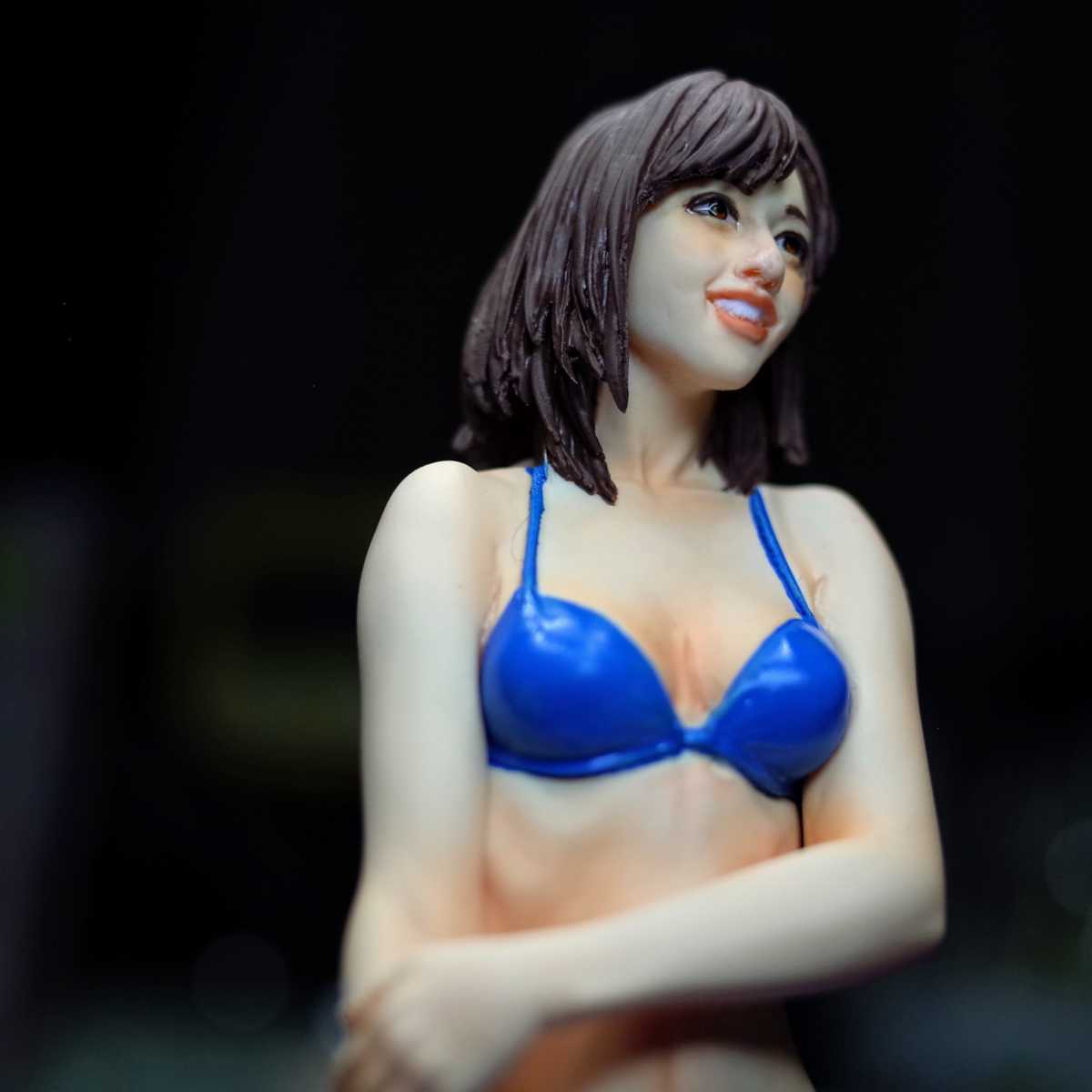 1円スタート】ハセガワ 12リアルフィギュアコレクション グラビア