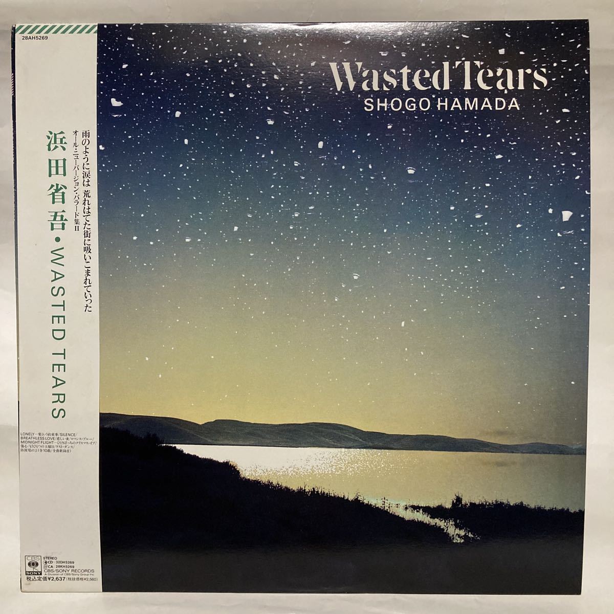 帯付き　美品　浜田省吾 wasted tears　レコード 浜田省吾】帯付きレコード Wasted Tears （美品） 浜田省吾レコード