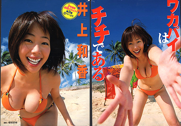 やや傷や汚れあり】切り抜き(B5)○160○井上和香（ヤングマガジン20004
