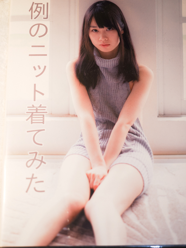 やや傷や汚れあり】例のニットを着てみた 鹿 鹿せんべい コスプレROM